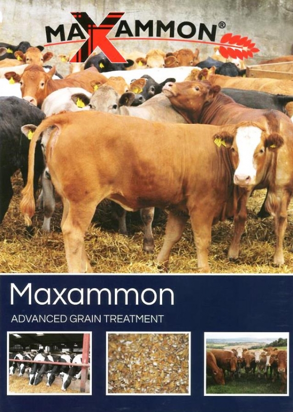 Maxammon advance grain treatment available